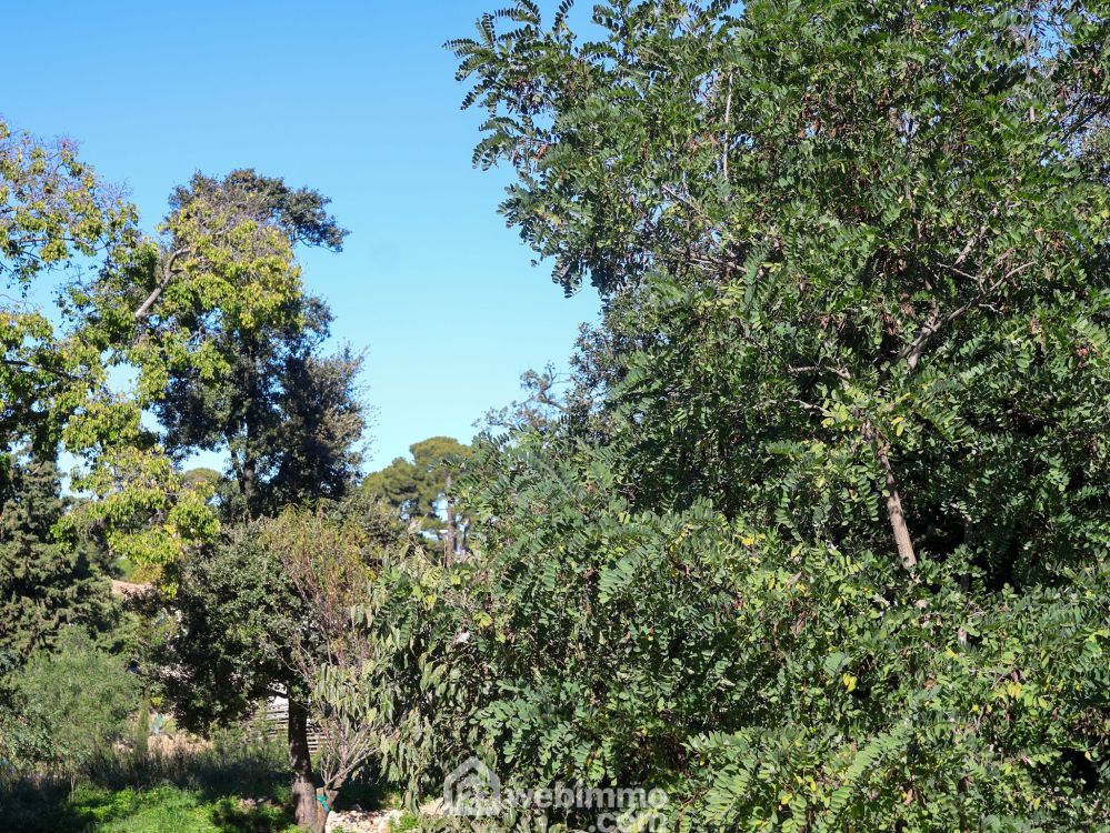 Photo 17 - Marseille 13009 à Marseille