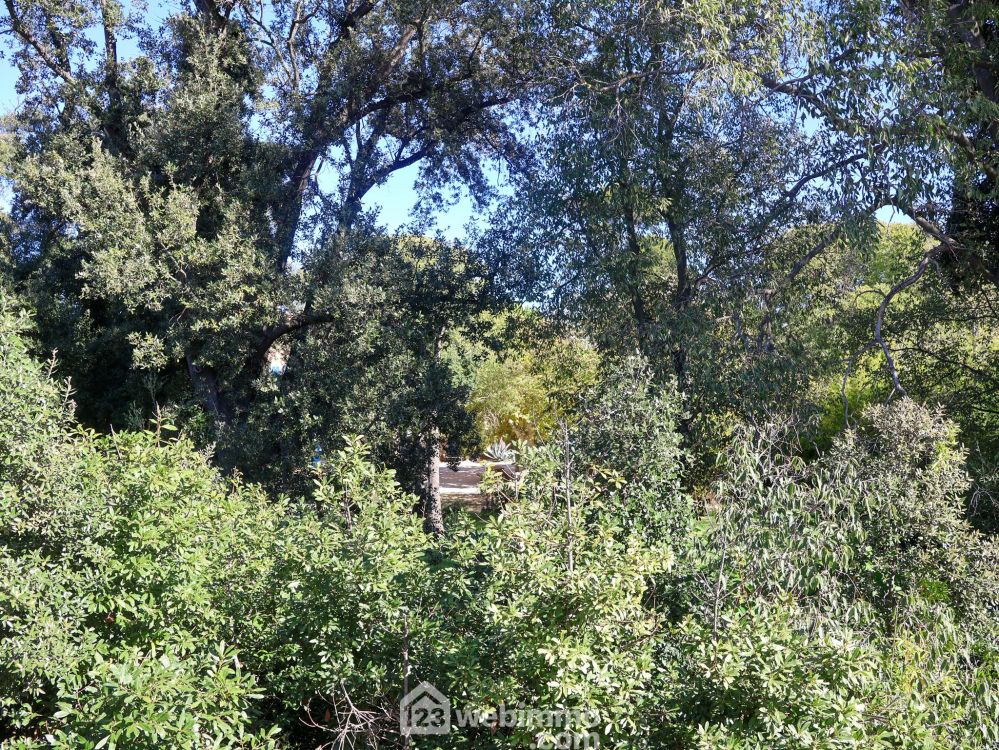 Photo 20 - Marseille 13009 à Marseille