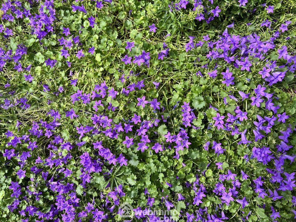 Photo 35 - Choisy le roi 94600 à Choisy le roi