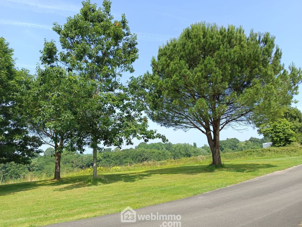 Photo 25 - Saint-Cricq-Chalosse 40700 à Saint-Cricq-Chalosse