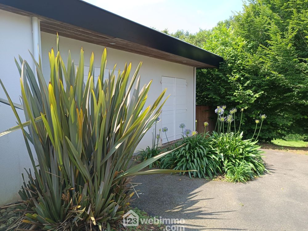 Photo 27 - Saint-Cricq-Chalosse 40700 à Saint-Cricq-Chalosse