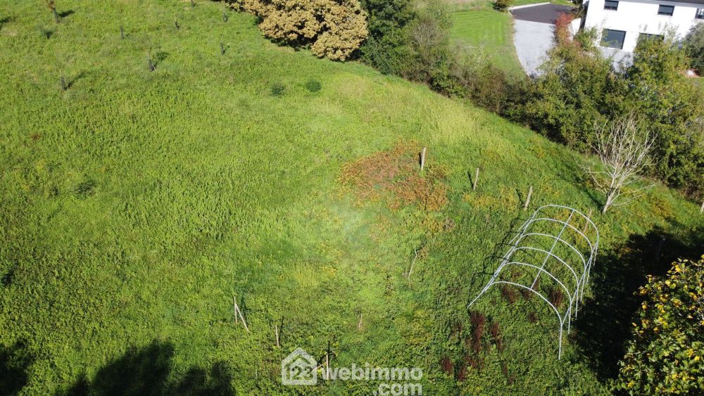 Photo 4 - Casteide-Candau 64370 à Casteide-Candau