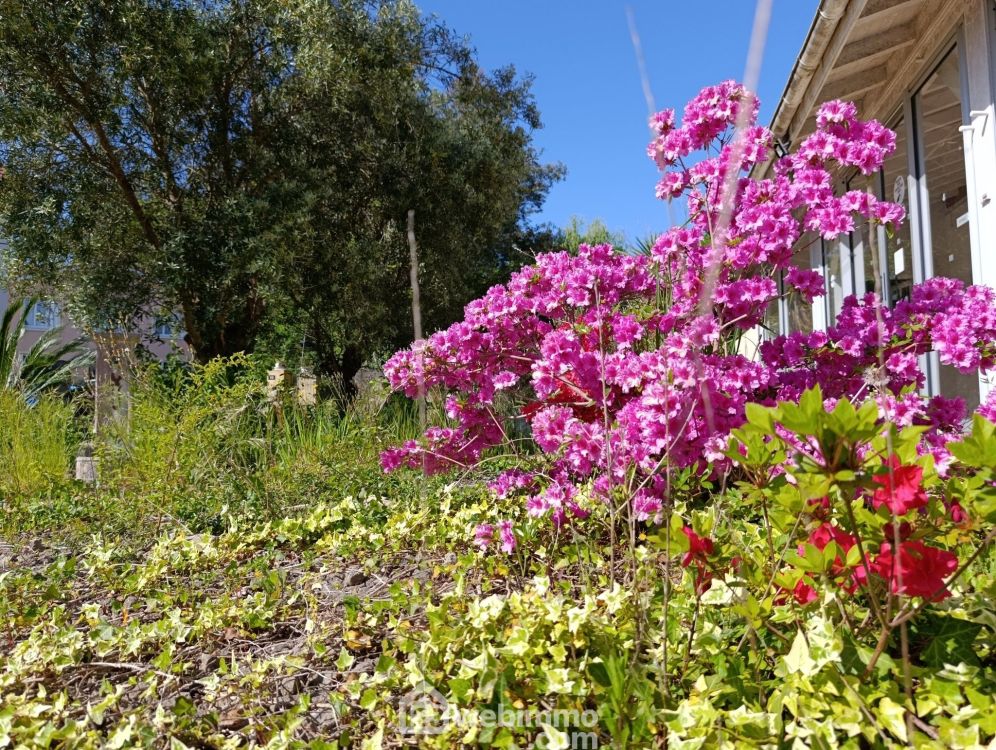 Photo 1 - Morlanne 64370 à Morlanne