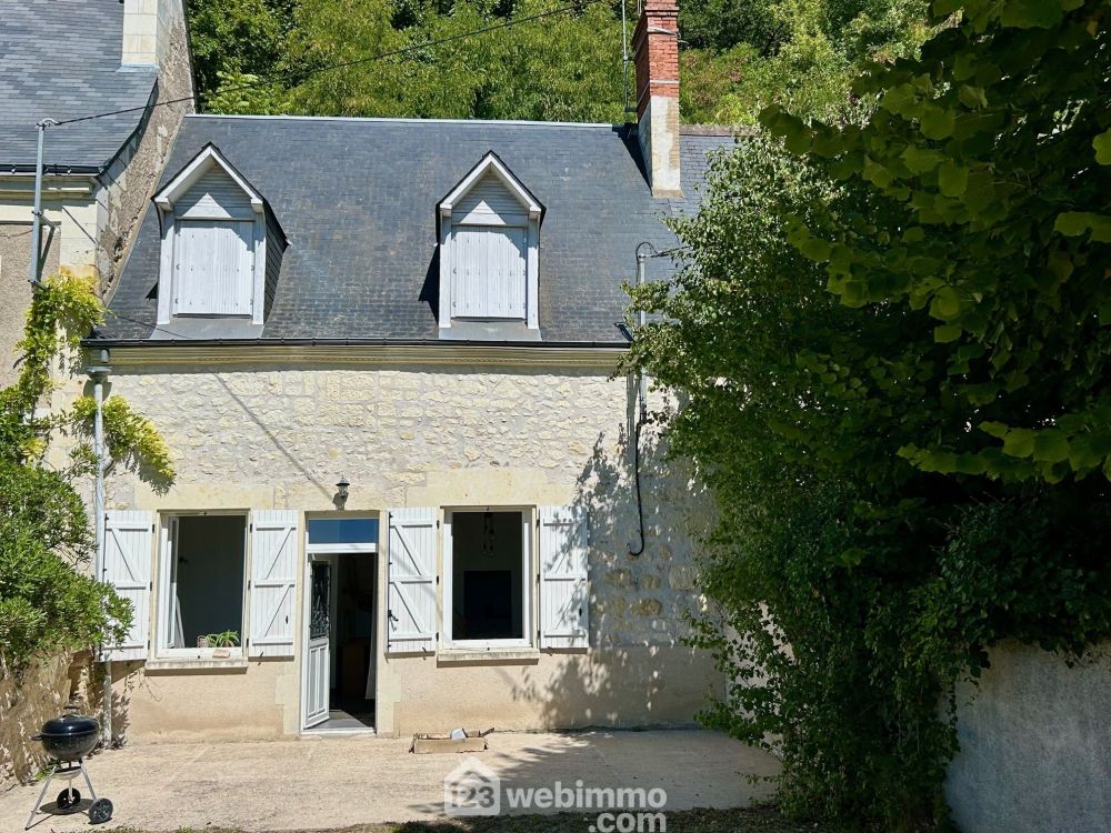 Photo 35 - Coteaux-sur-Loire 37130 à Coteaux-sur-Loire