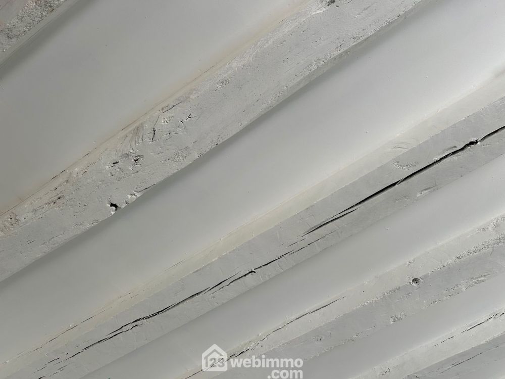 Photo 4 - Coteaux-sur-Loire 37130 à Coteaux-sur-Loire