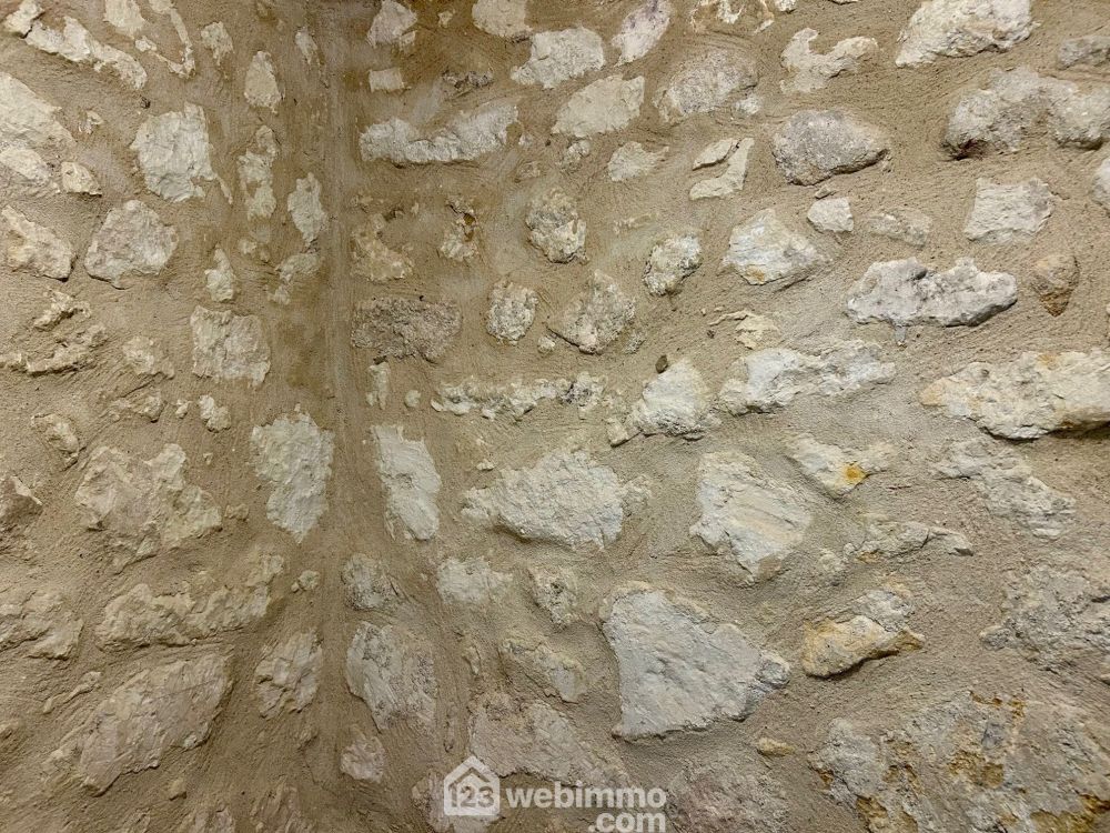 Photo 14 - Coteaux-sur-Loire 37130 à Coteaux-sur-Loire