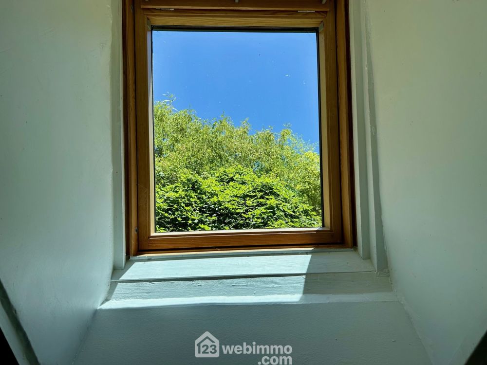 Photo 12 - Coteaux-sur-Loire 37130 à Coteaux-sur-Loire