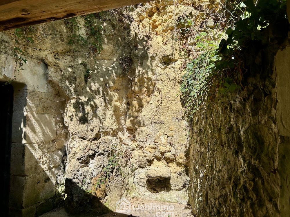 Photo 16 - Coteaux-sur-Loire 37130 à Coteaux-sur-Loire