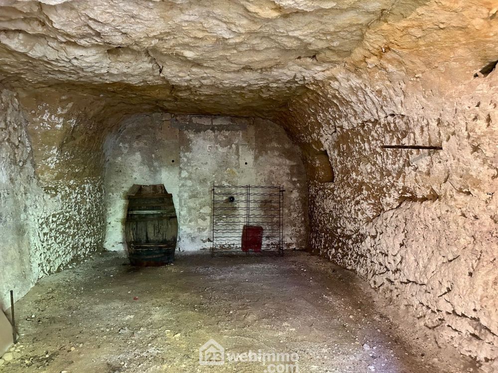 Photo 17 - Coteaux-sur-Loire 37130 à Coteaux-sur-Loire