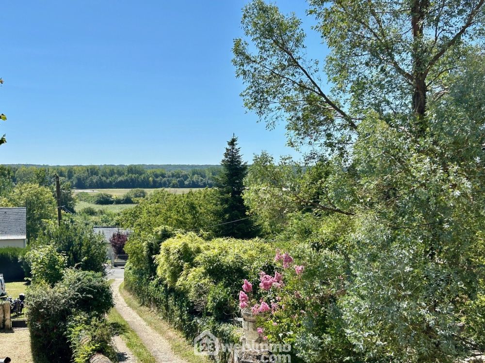 Photo 25 - Coteaux-sur-Loire 37130 à Coteaux-sur-Loire