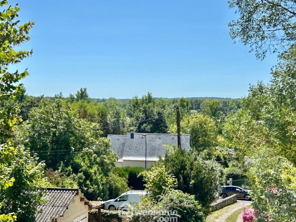 Photo 28 - Coteaux-sur-Loire 37130 à Coteaux-sur-Loire