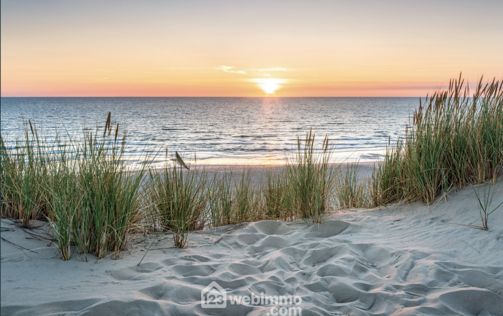 Photo 6 - La Teste-de-Buch 33260 à La Teste-de-Buch