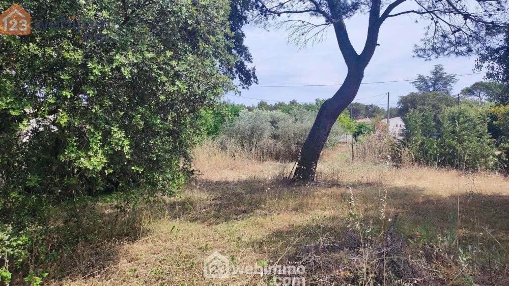 Photo 3 - Lambesc 13410 à Lambesc