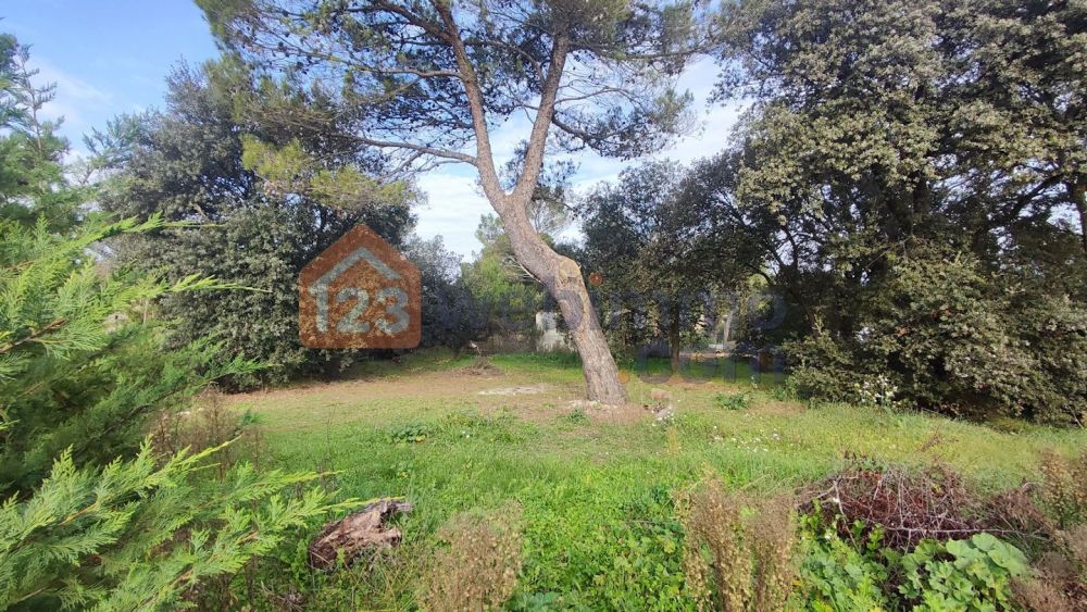 Photo 9 - Lambesc 13410 à Lambesc