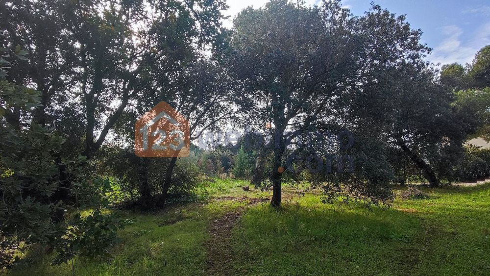 Photo 13 - Lambesc 13410 à Lambesc