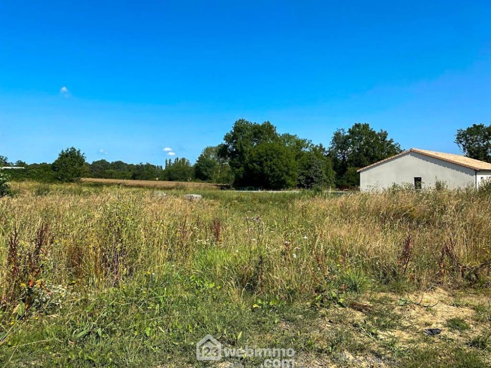 Photo 10 - Sèvremoine 49450 à Sèvremoine