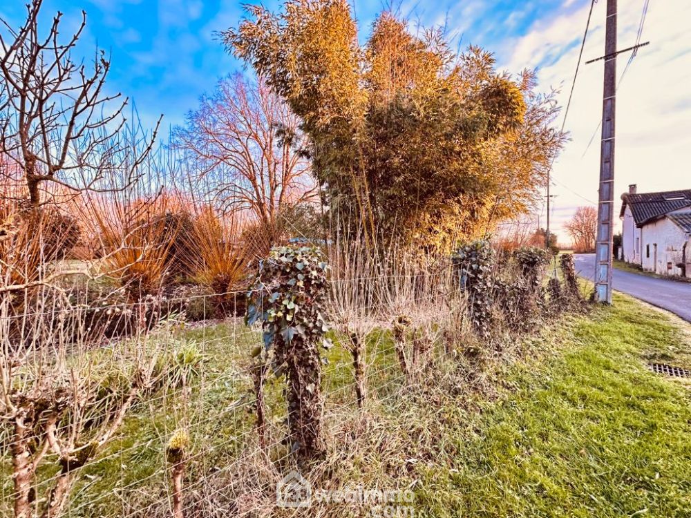 Photo 18 - Coulombiers 86600 à Coulombiers