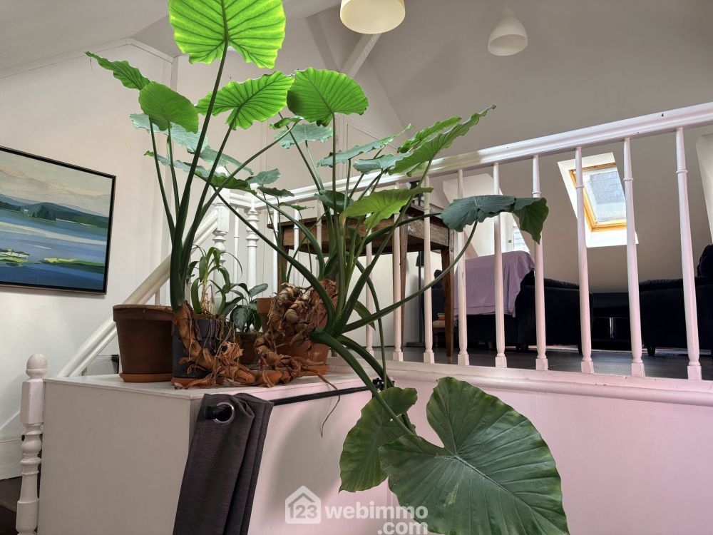 Photo 8 - Rouen 76000 à Rouen