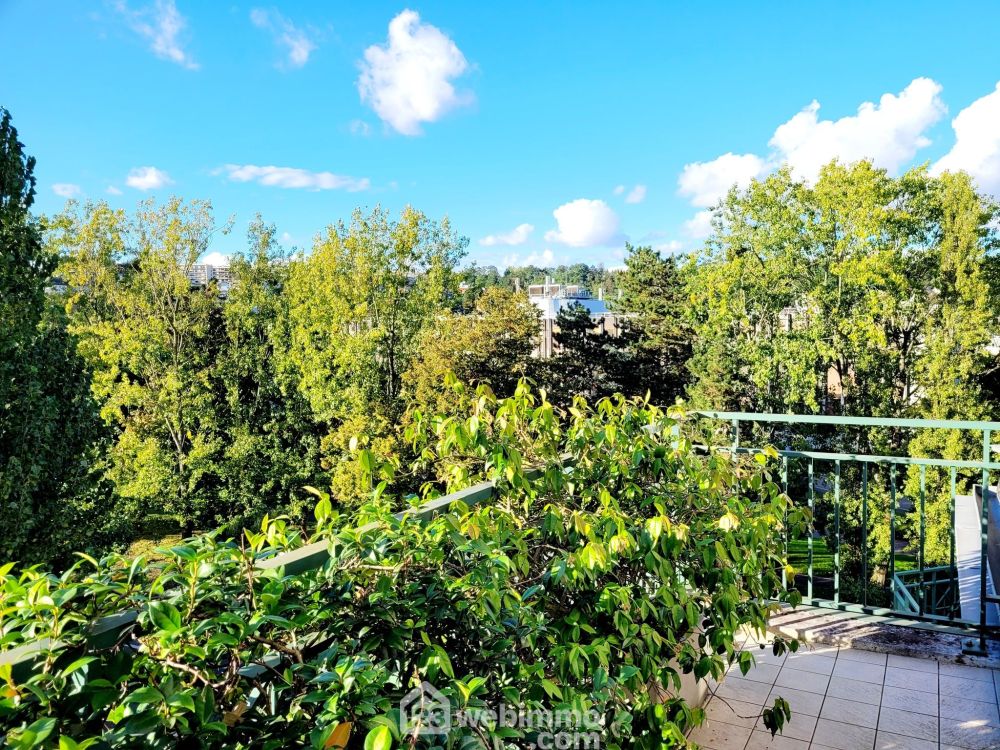 Photo 2 - Le Plessis-Robinson 92350 à Le Plessis-Robinson