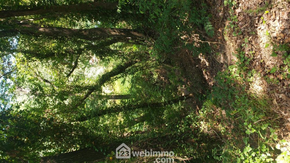 Photo 2 - Le Thoronet 83340 à Le Thoronet