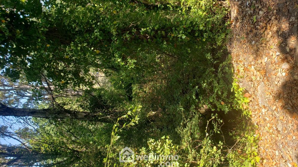 Photo 4 - Le Thoronet 83340 à Le Thoronet