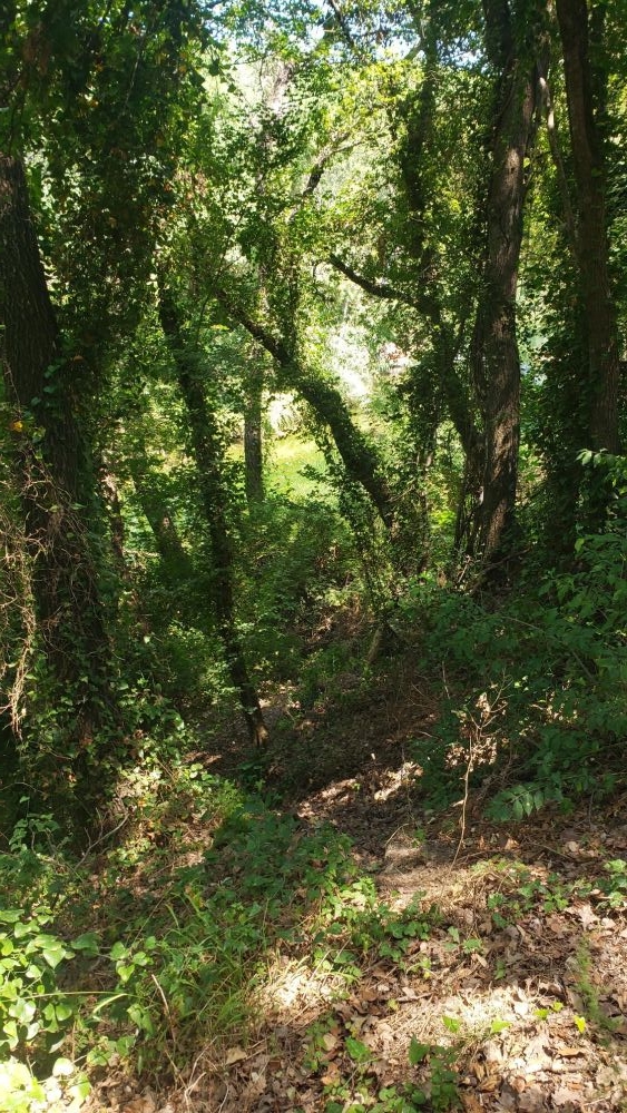 Photo 7 - Le Thoronet 83340 à Le Thoronet