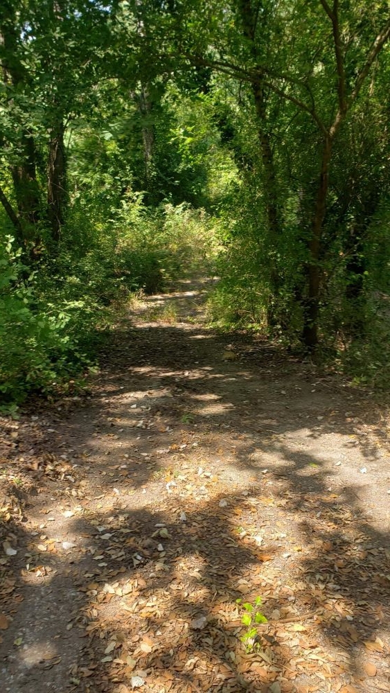 Photo 10 - Le Thoronet 83340 à Le Thoronet