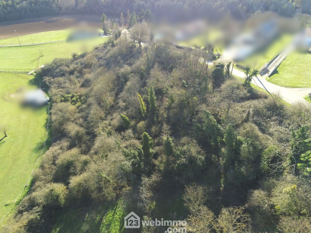 Photo 3 - Montamisé 86360 à Montamisé