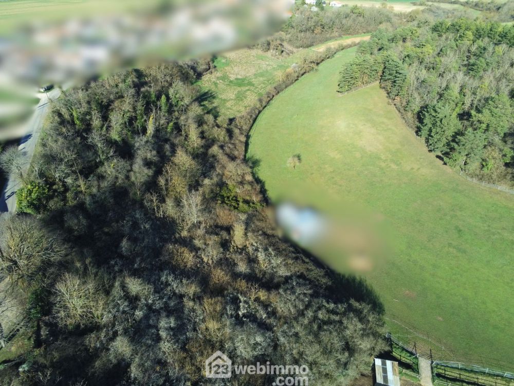 Photo 2 - Montamisé 86360 à Montamisé