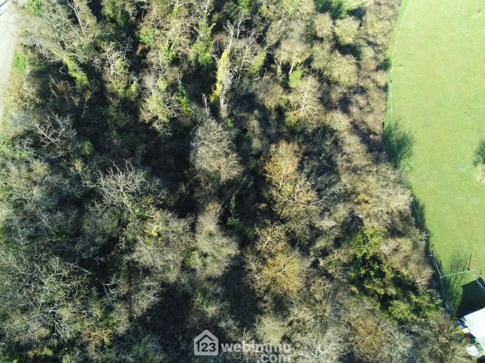 Photo 6 - Montamisé 86360 à Montamisé