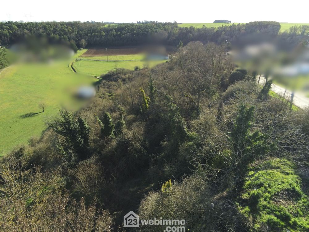 Photo 4 - Montamisé 86360 à Montamisé