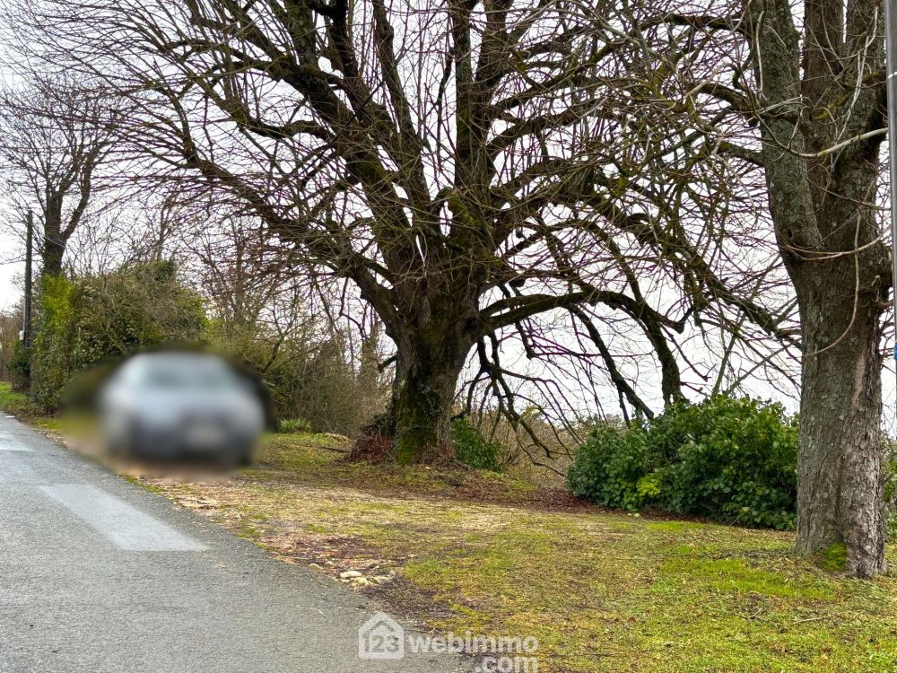 Photo 8 - Montamisé 86360 à Montamisé