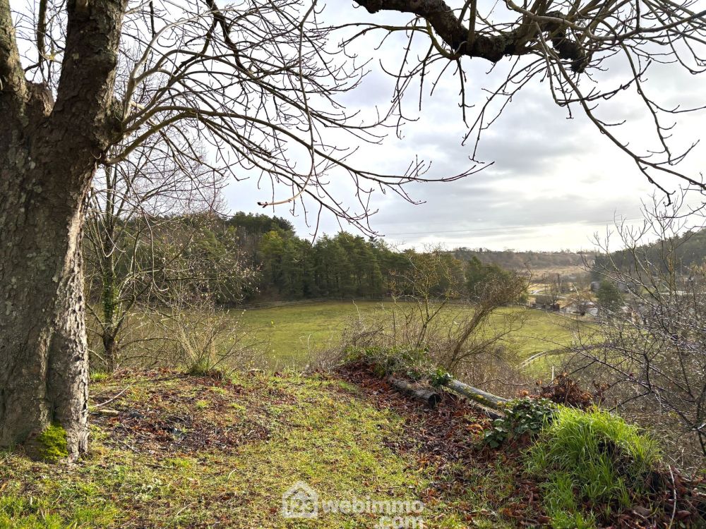 Photo 9 - Montamisé 86360 à Montamisé