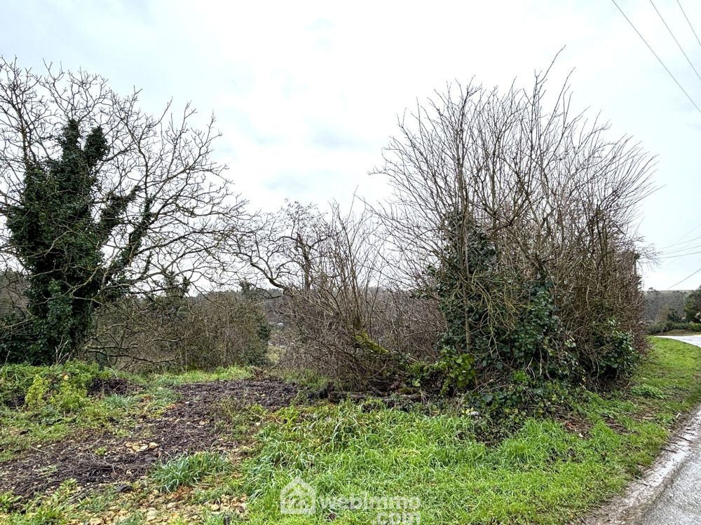 Photo 5 - Montamisé 86360 à Montamisé