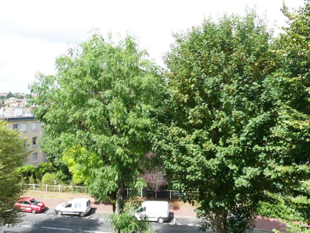 Photo 7 - Le Plessis-Robinson 92350 à Le Plessis-Robinson