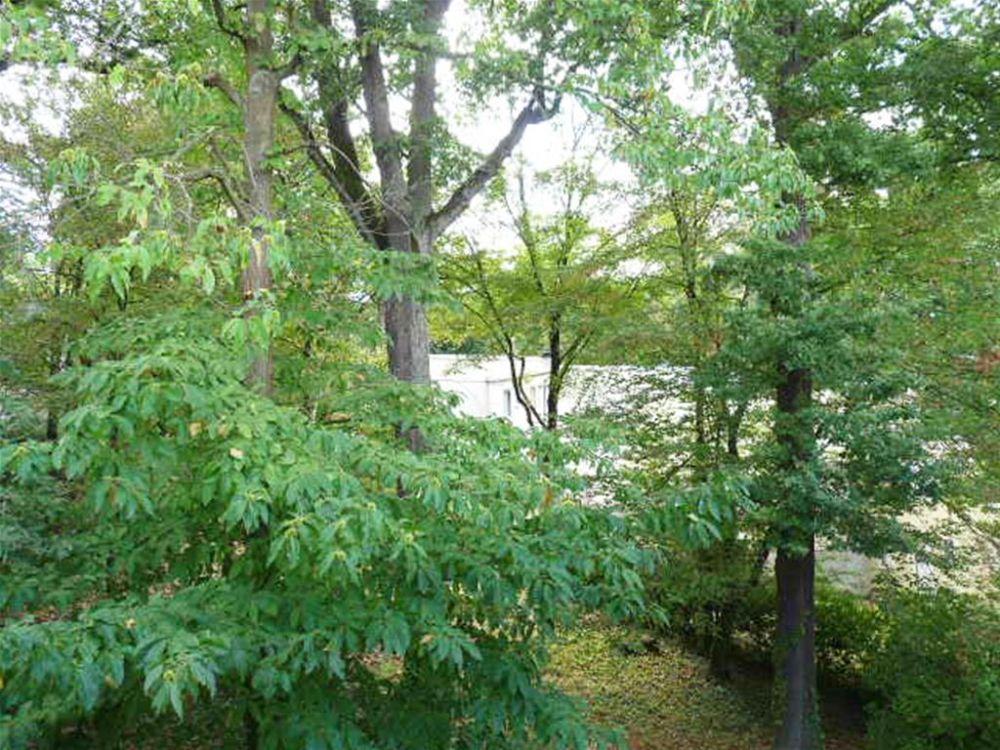 Photo 13 - Le Plessis-Robinson 92350 à Le Plessis-Robinson