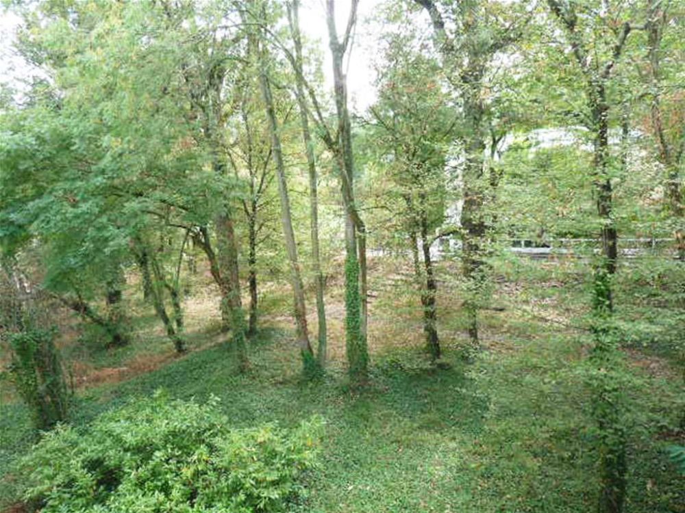 Photo 17 - Le Plessis-Robinson 92350 à Le Plessis-Robinson