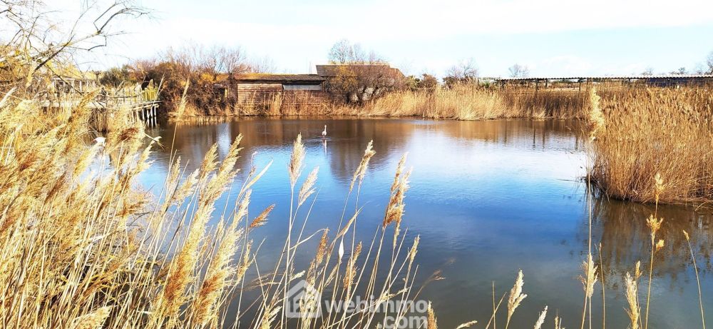 Photo 17 - Saintes-Maries-de-la-Mer 13460 à Saintes-Maries-de-la-Mer