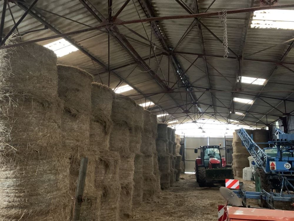 Photo 3 - Trois-Domaines 55220 à Trois-Domaines