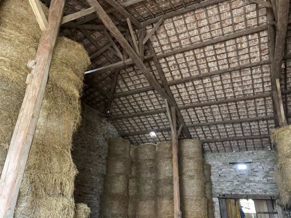 Photo 5 - Trois-Domaines 55220 à Trois-Domaines