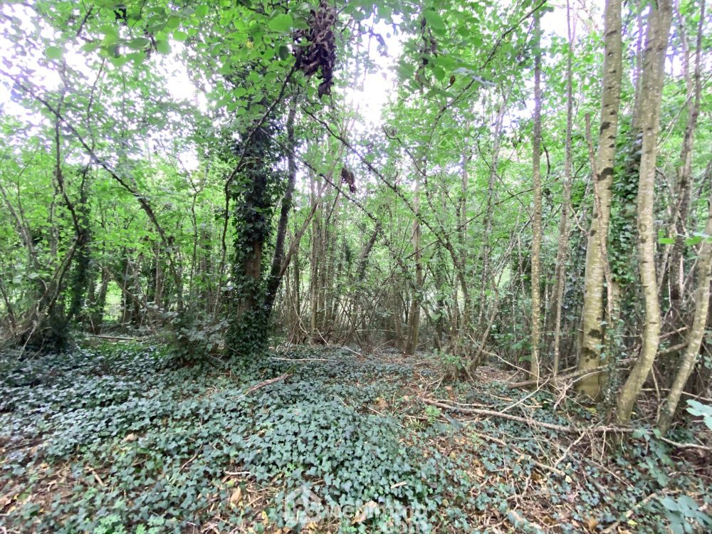 Photo 1 - LE VIEUX MARCHE 22420 à LE VIEUX MARCHE