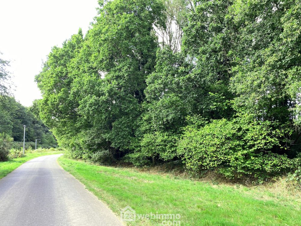 Photo 3 - LE VIEUX MARCHE 22420 à LE VIEUX MARCHE