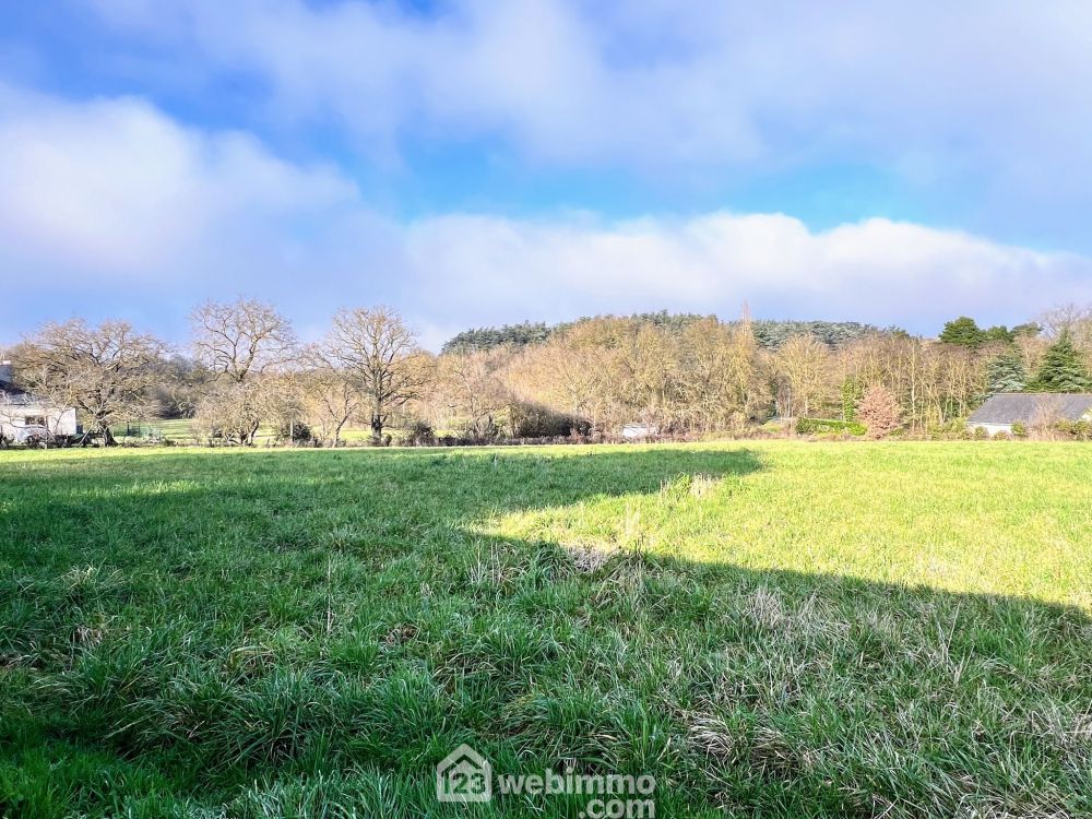 Photo 12 - Mûrs-Erigné 49610 à Mûrs-Erigné