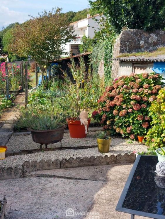 Photo 13 - Pouzauges 85700 à Pouzauges