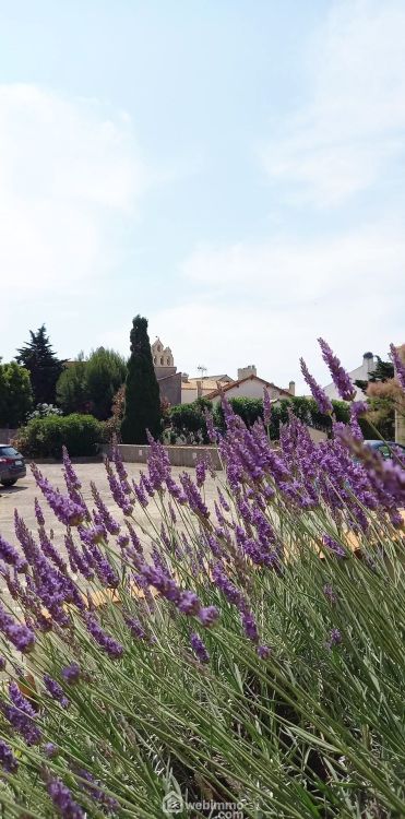 Photo 8 - Saintes-Maries-de-la-Mer 13460 à Saintes-Maries-de-la-Mer