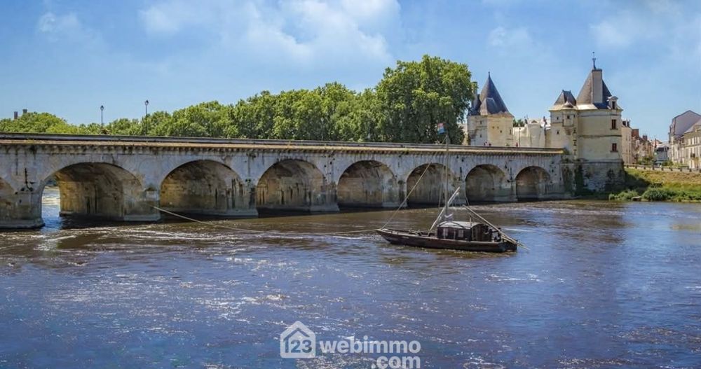 Photo 29 - Dangé-Saint-Romain 86220 à Dangé-Saint-Romain