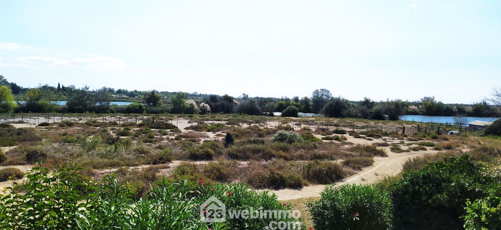 Photo 8 - Saintes-Maries-de-la-Mer 13460 à Saintes-Maries-de-la-Mer