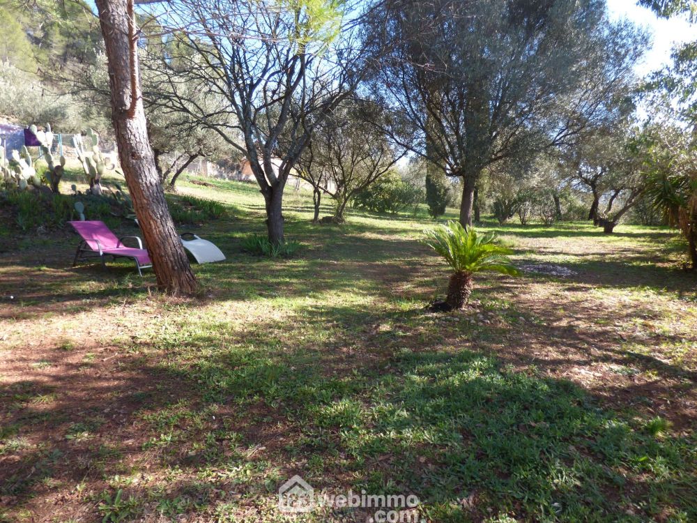 Photo 5 - Le Cannet-des-Maures 83340 à Le Cannet-des-Maures