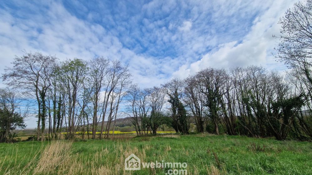 Photo 5 - Chamouille 02860 à Chamouille