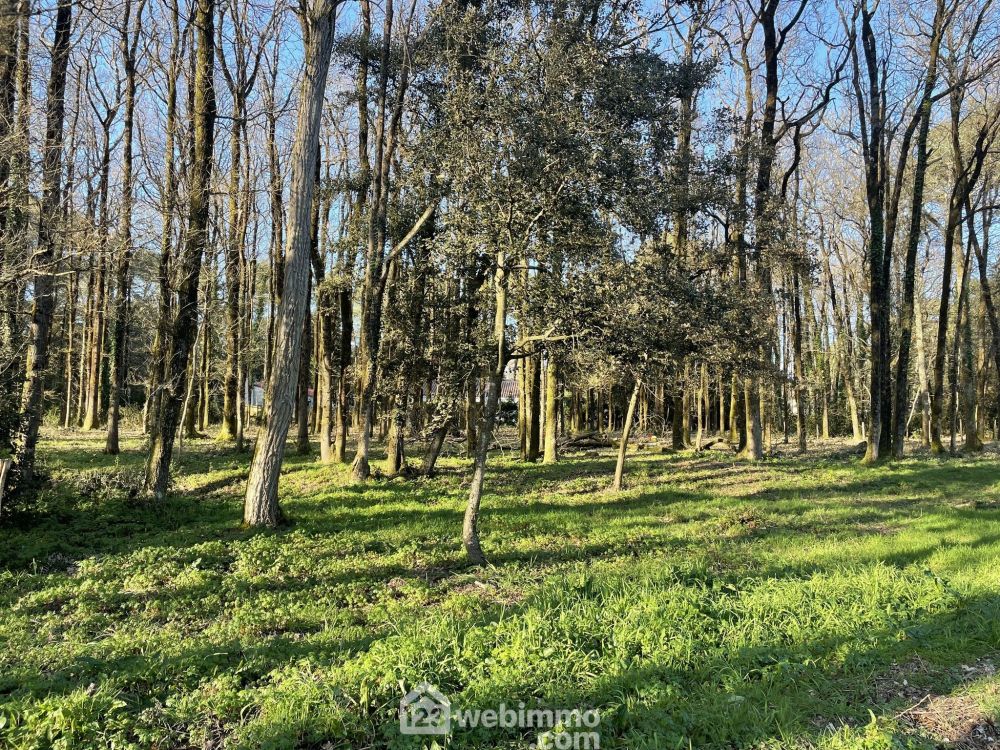 Photo 4 - Jard-sur-Mer 85520 à Jard-sur-Mer